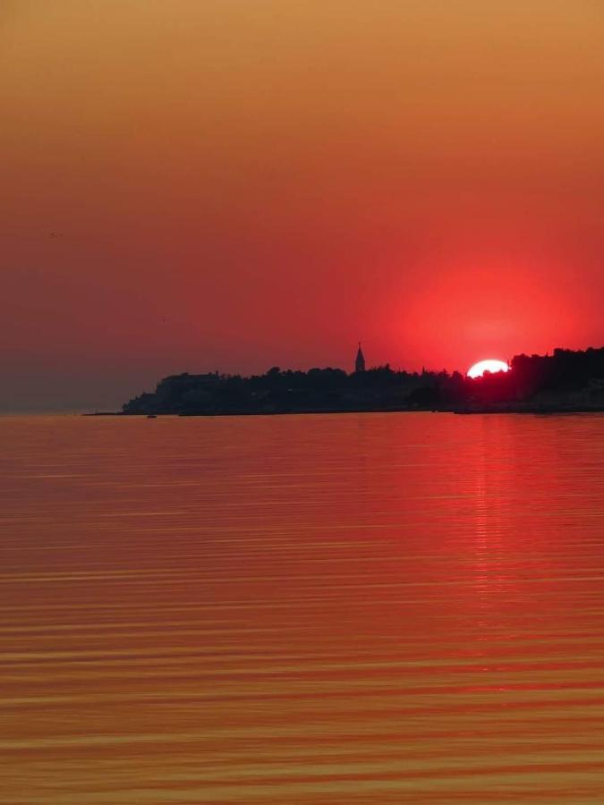 Novigrad Istria Apartments Roberta מראה חיצוני תמונה
