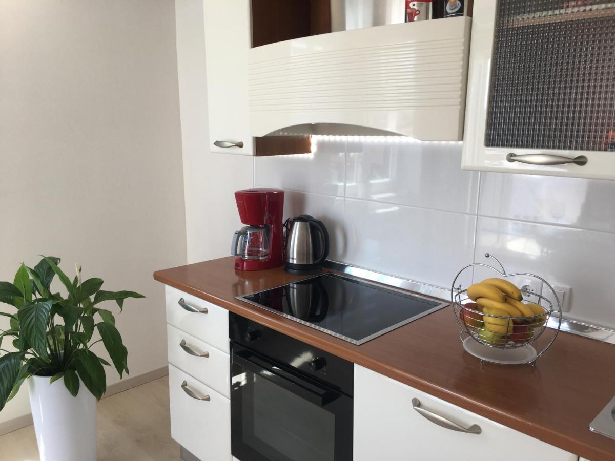 Novigrad Istria Apartments Roberta מראה חיצוני תמונה
