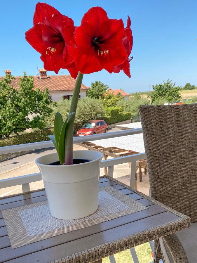 Novigrad Istria Apartments Roberta מראה חיצוני תמונה