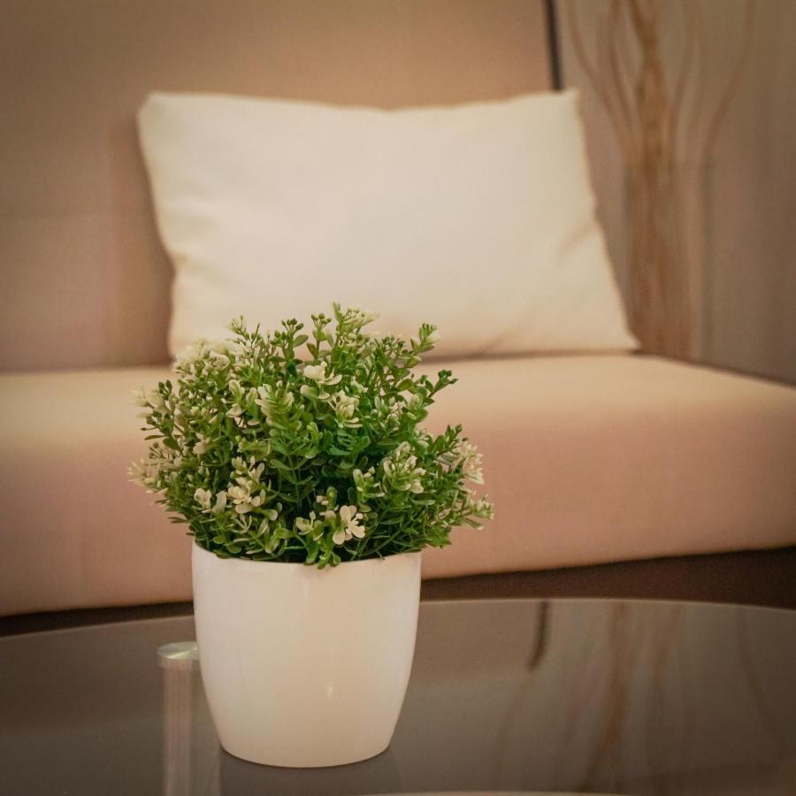 Novigrad Istria Apartments Roberta מראה חיצוני תמונה