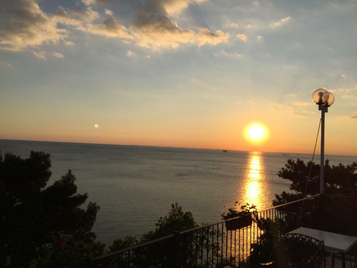 Novigrad Istria Apartments Roberta מראה חיצוני תמונה