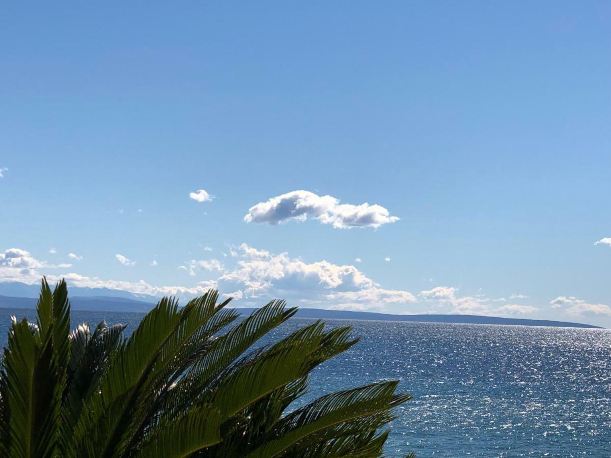 Novigrad Istria Apartments Roberta מראה חיצוני תמונה